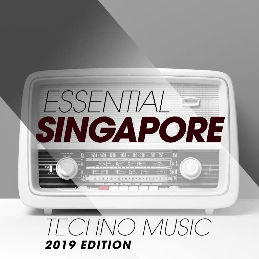 Essential Singapore Techno Music 2019 Edition
