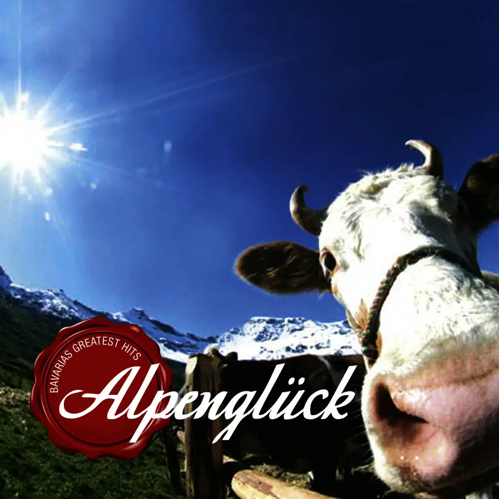 Ambros Seelos Orchestra