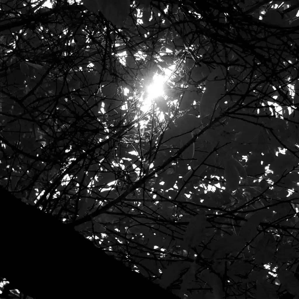 Tears of Joy (Piano Solo)