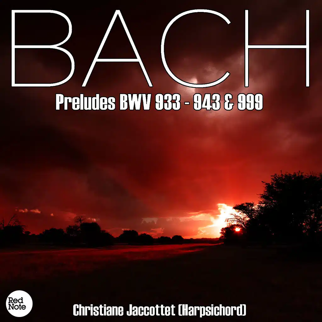 Bach JS: Preludes BWV 933 - 943 & 999