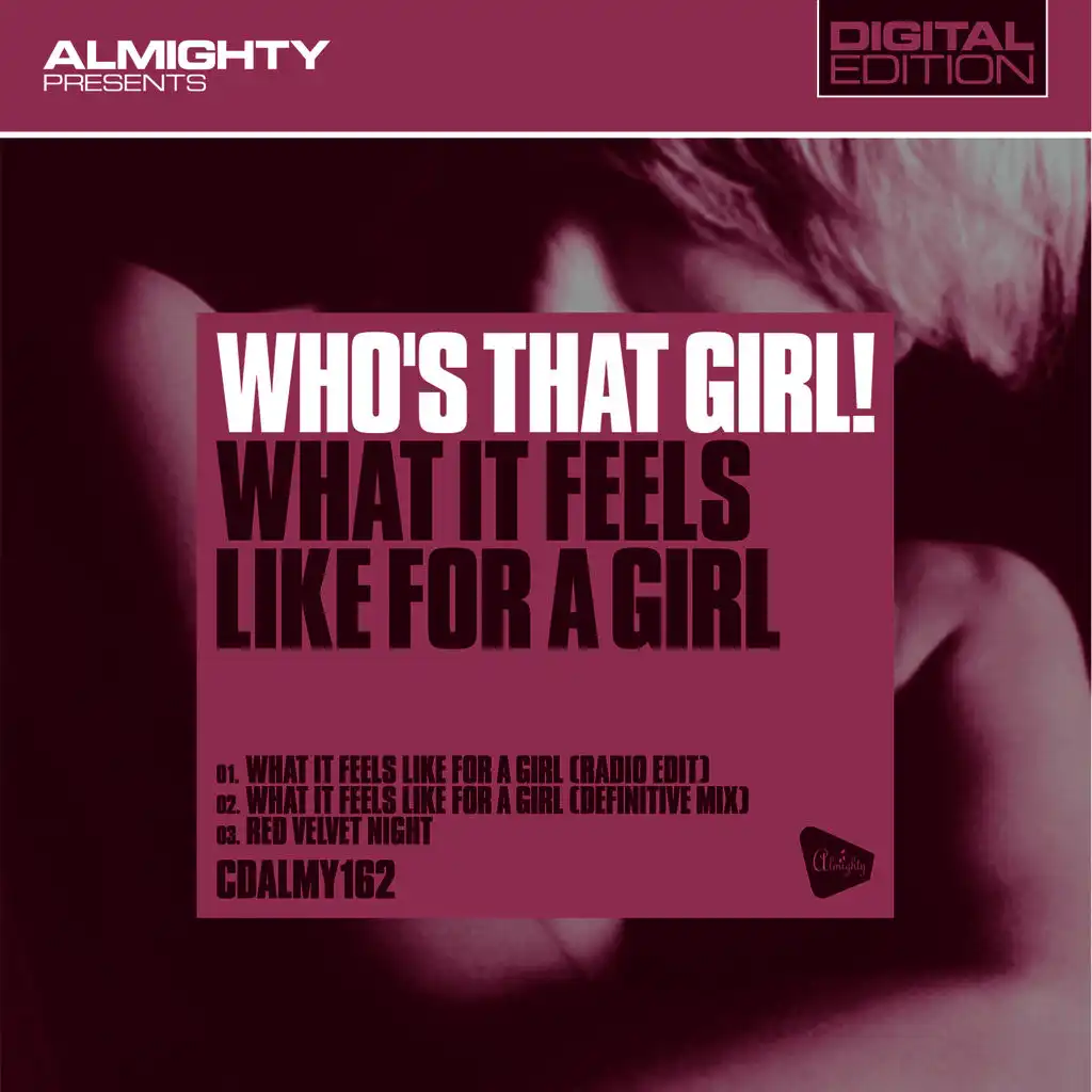 What It Feels Like For A Girl (Definitive Mix)