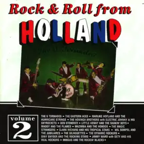 Rock & Roll From Holland 2