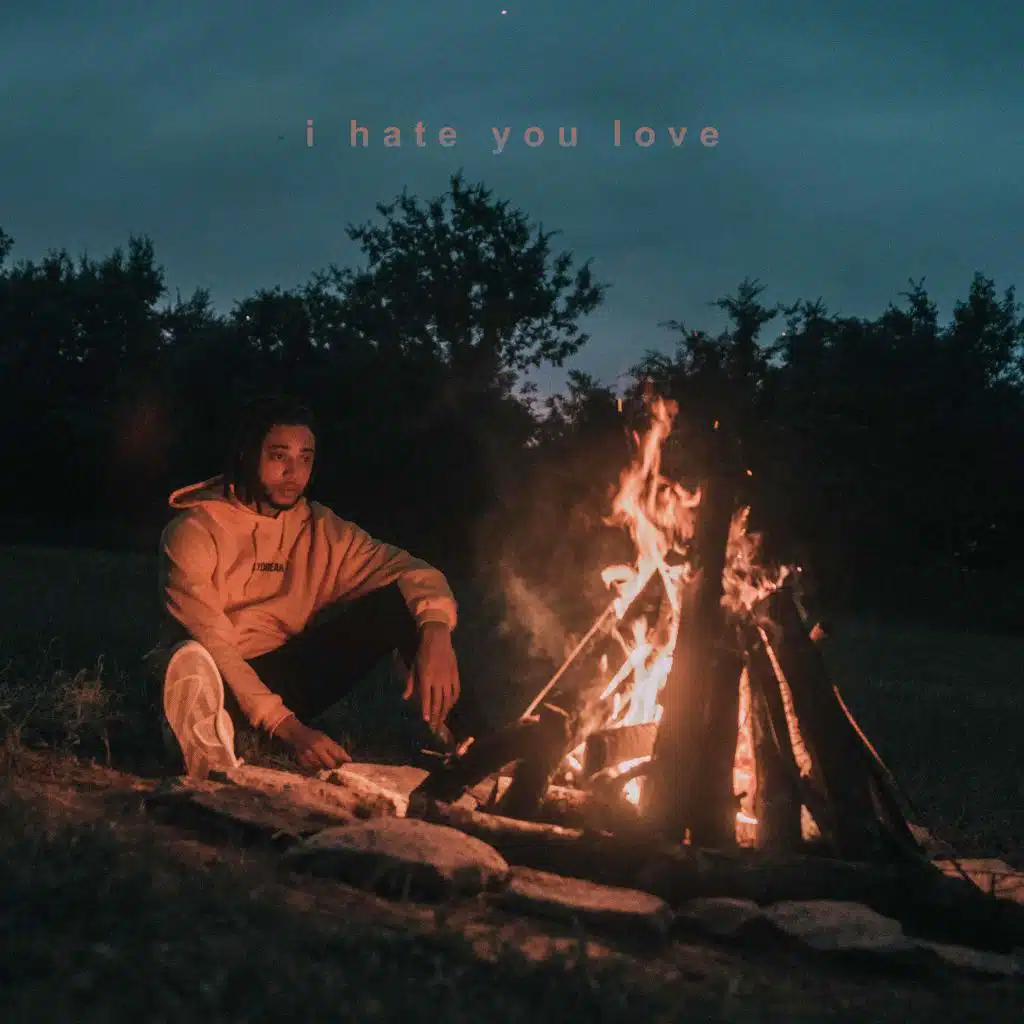 I Hate You Love