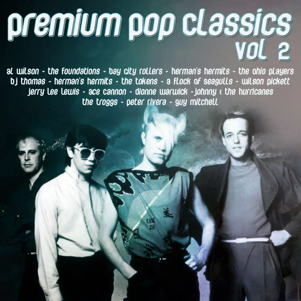 Who Will The Next Fool Be