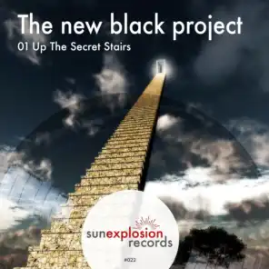 The new black project