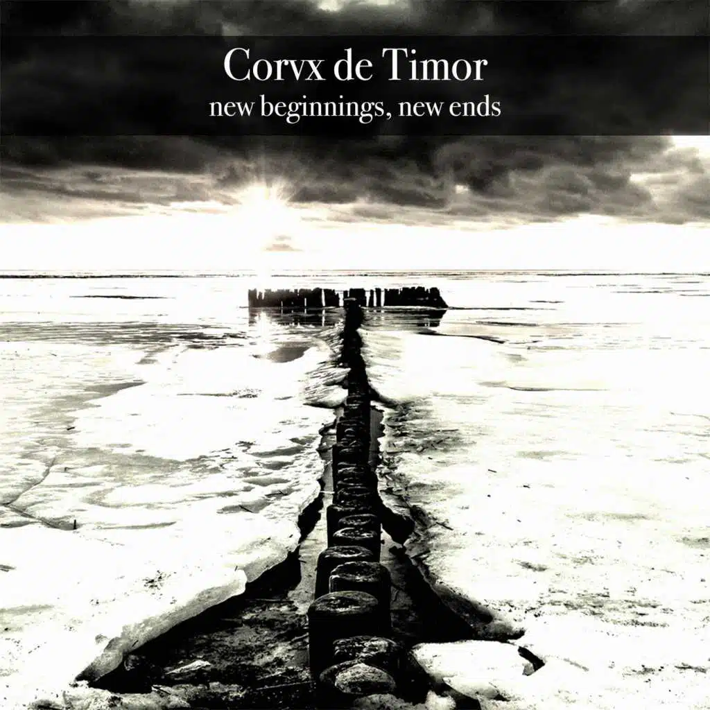 Corvx De Timor