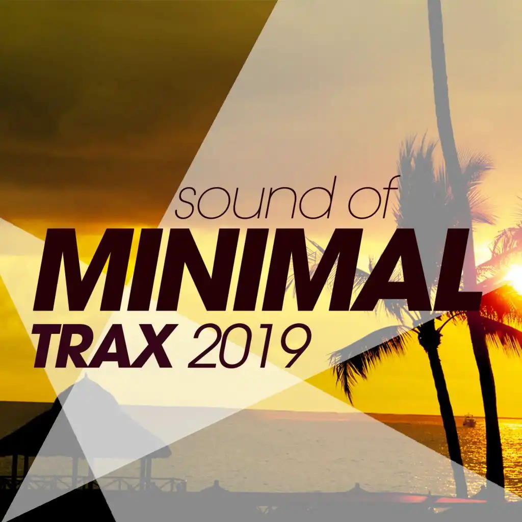 Sound Of Minimal Trax 2019