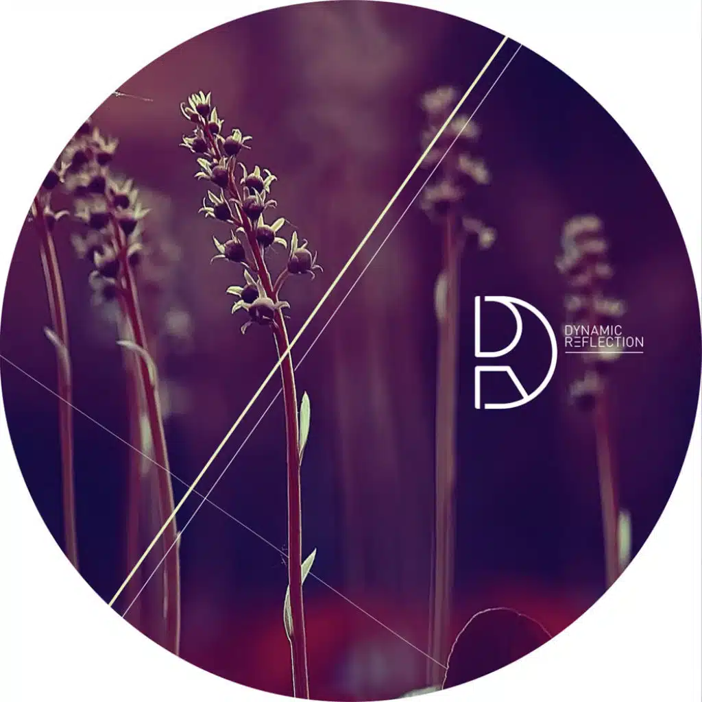 Night Without Stars EP