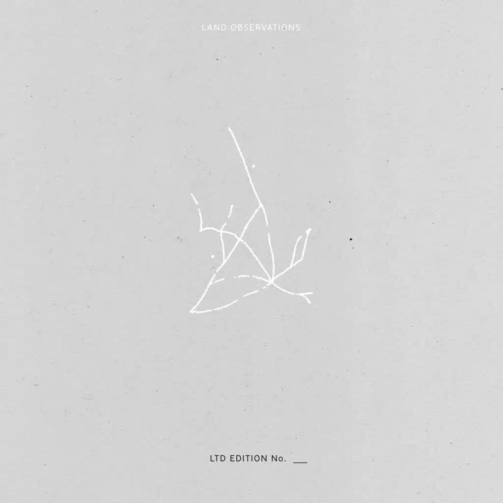 Octavian To Augustus