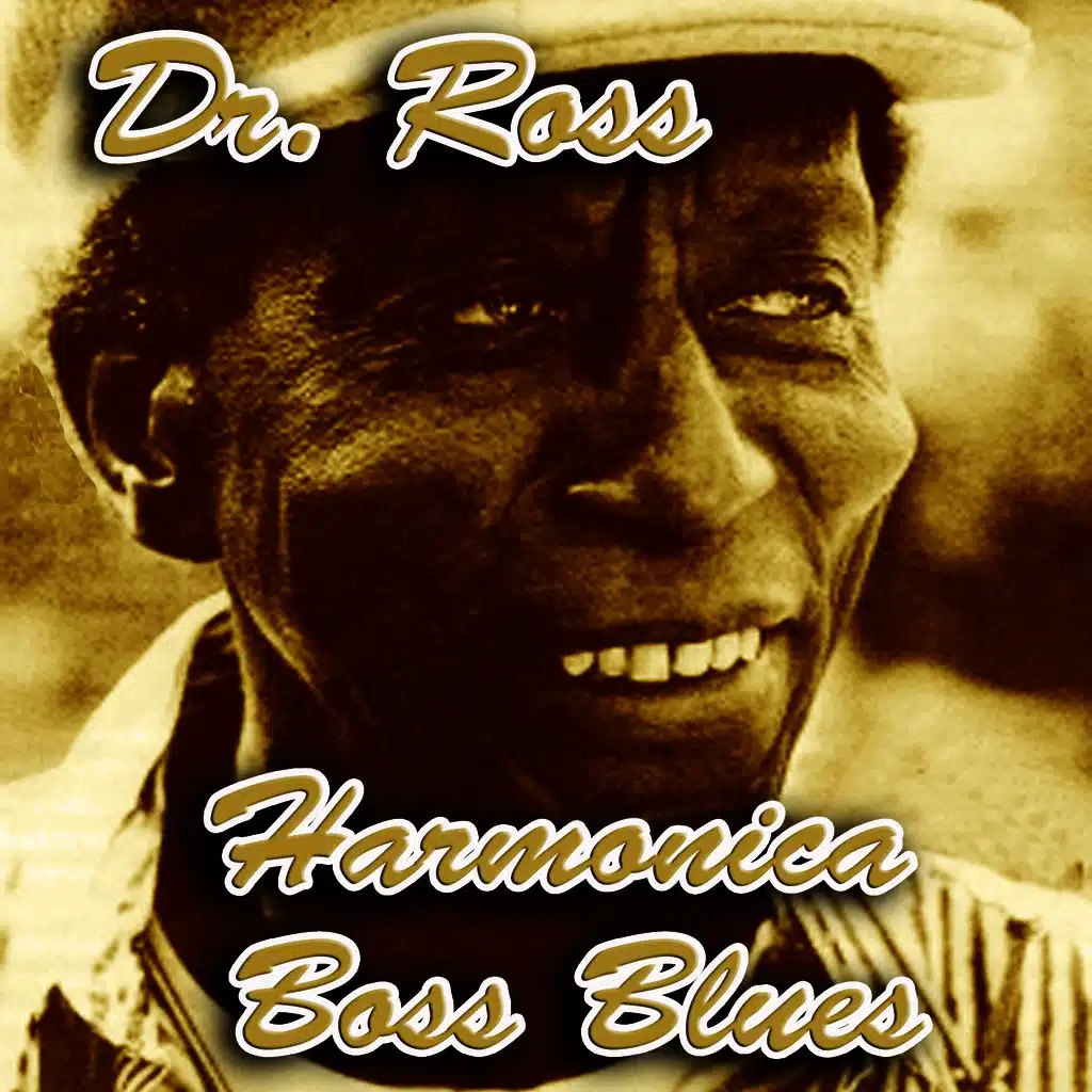 Harmonica Boss Blues