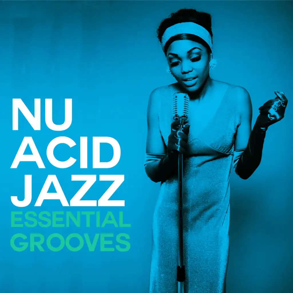 Nu Acid Jazz Essential Grooves