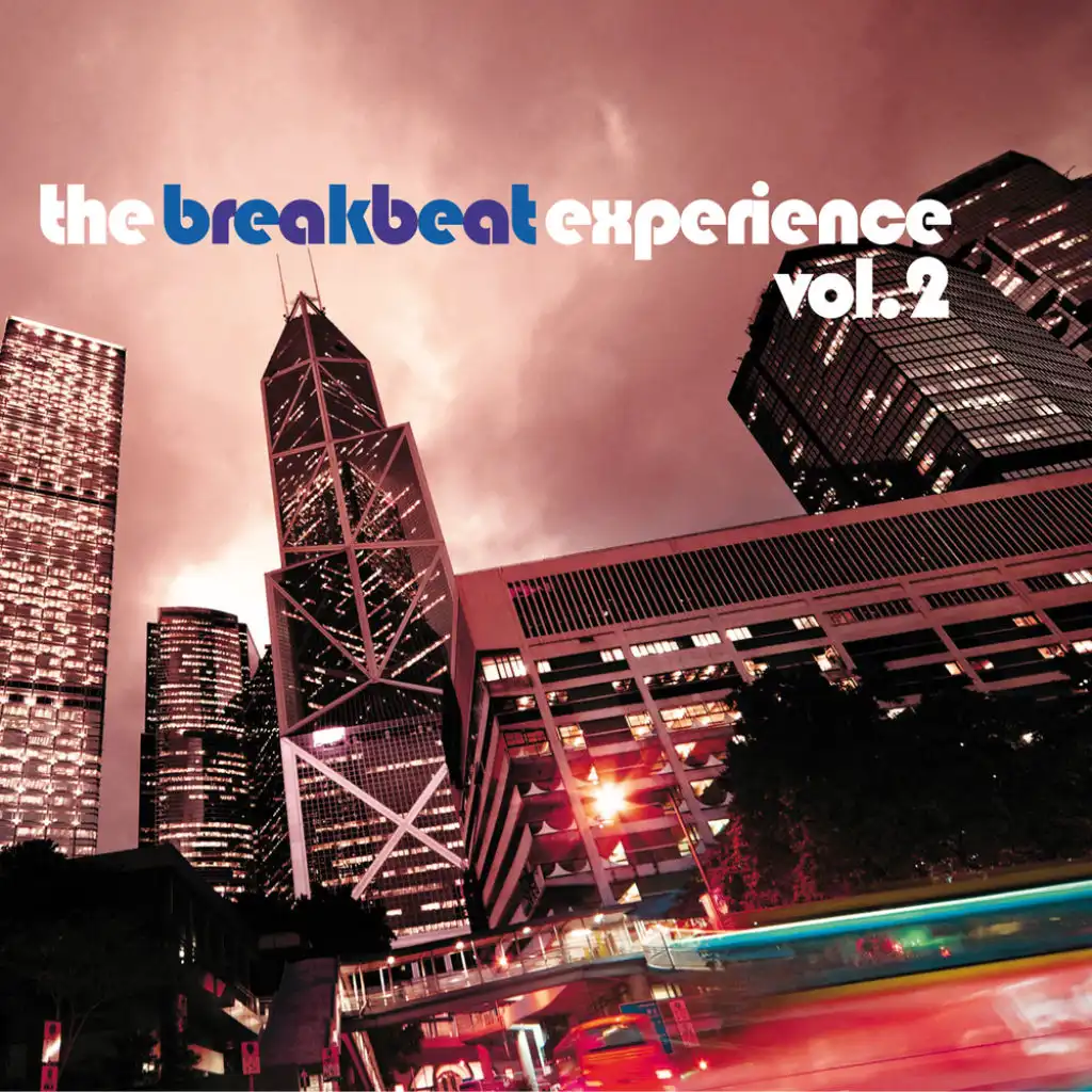 The Breakbeat Experience, Vol. 2