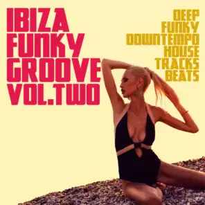 Ibiza Funky Groove Volume Two
