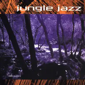 Brasilian Jazz (Remix 98)
