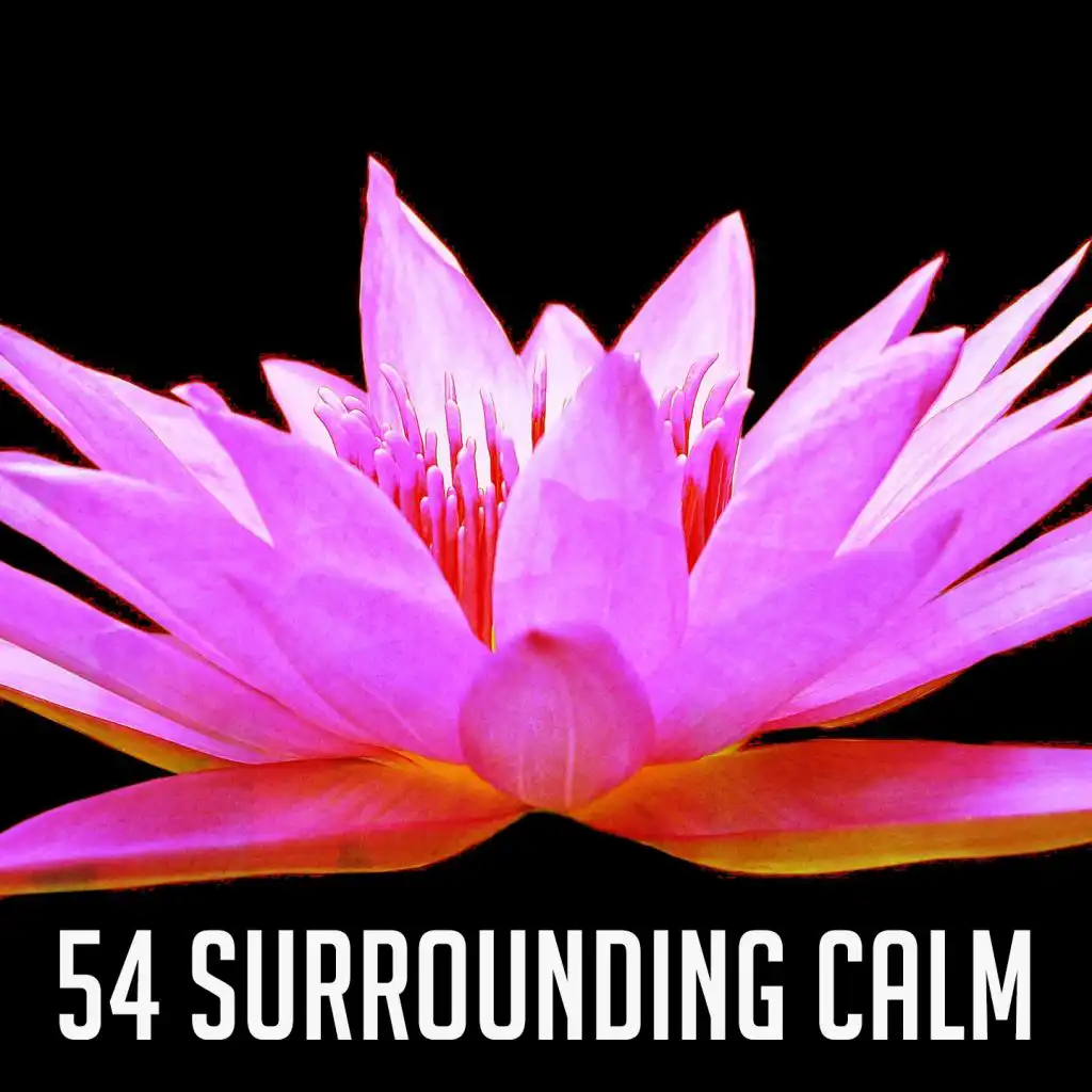 54 Surrounding Calm