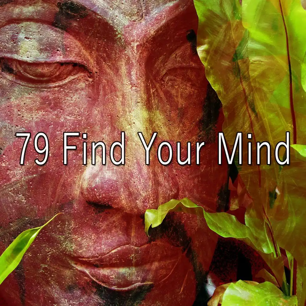 79 Find Your Mind