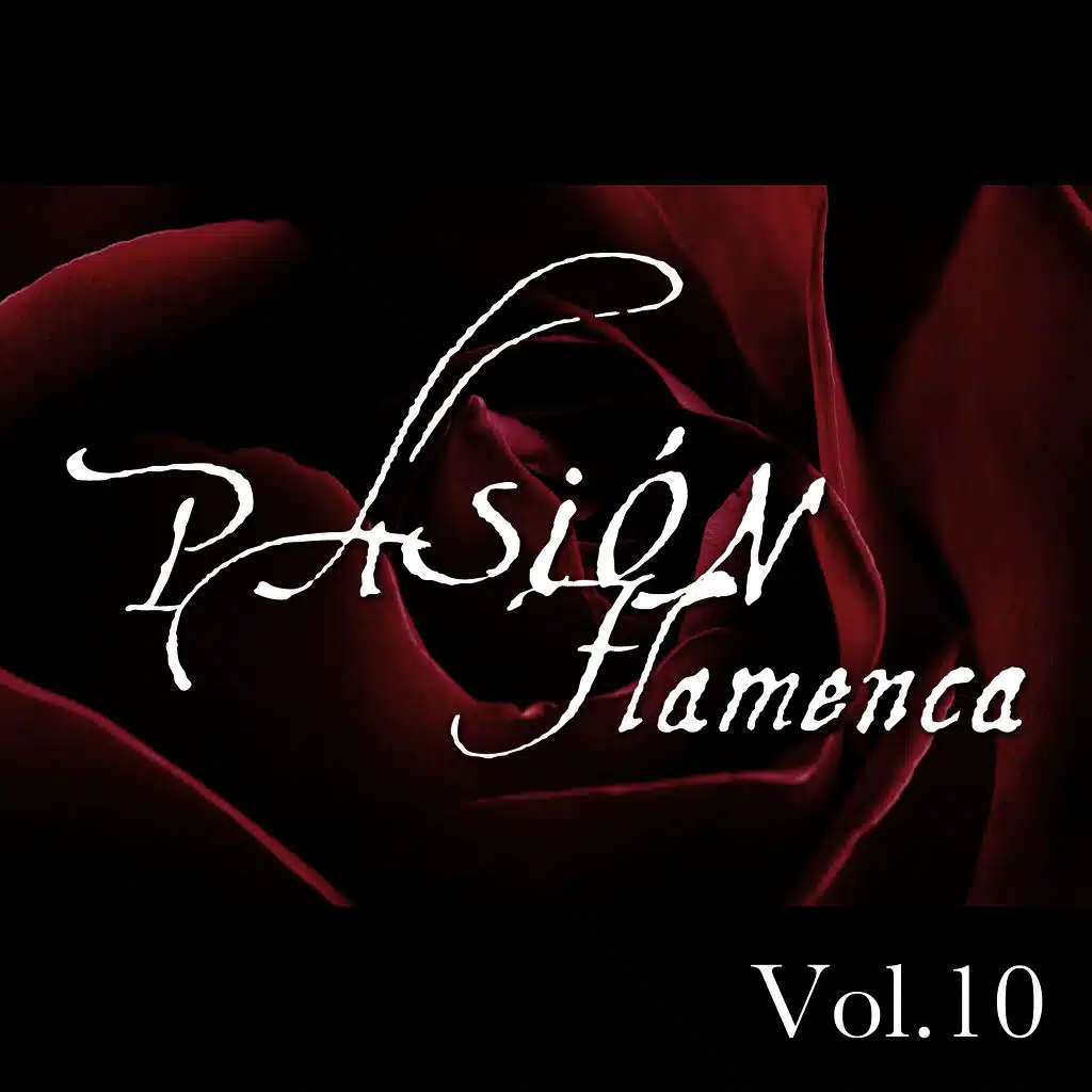 Pasión Flamenca Vol.10