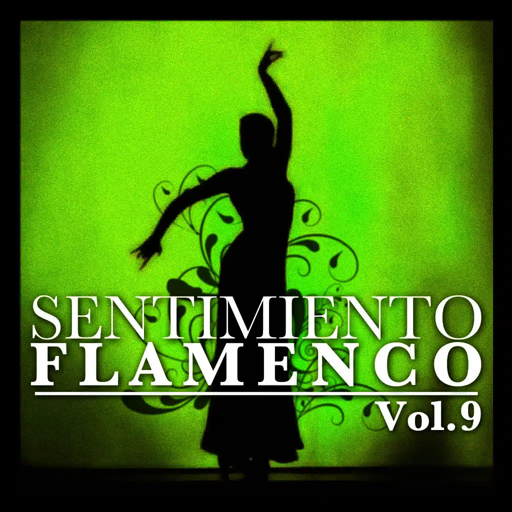 Sentimiento Flamenco Vol.9