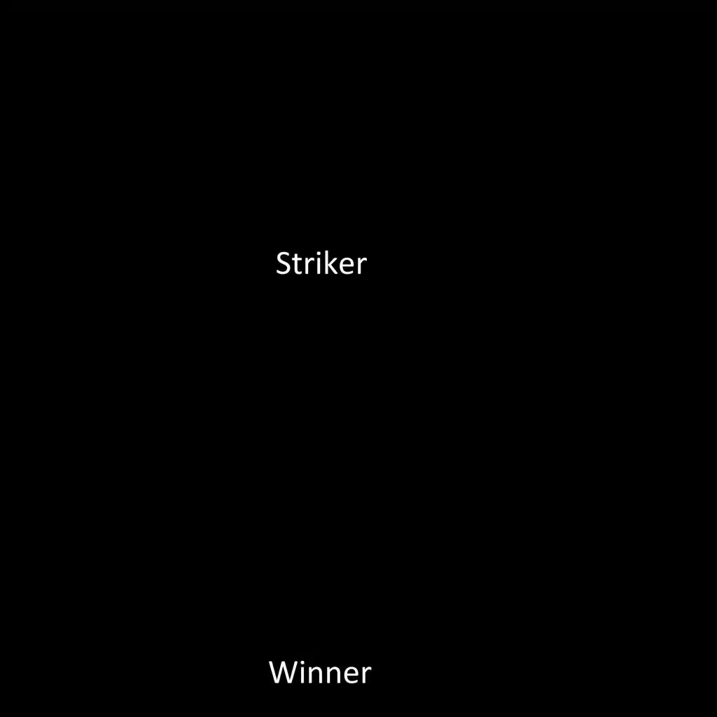 Striker