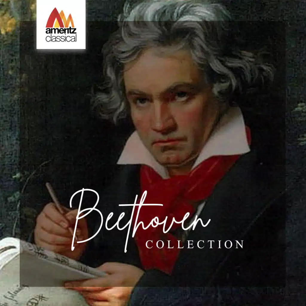 III. Scherzo. Allegro