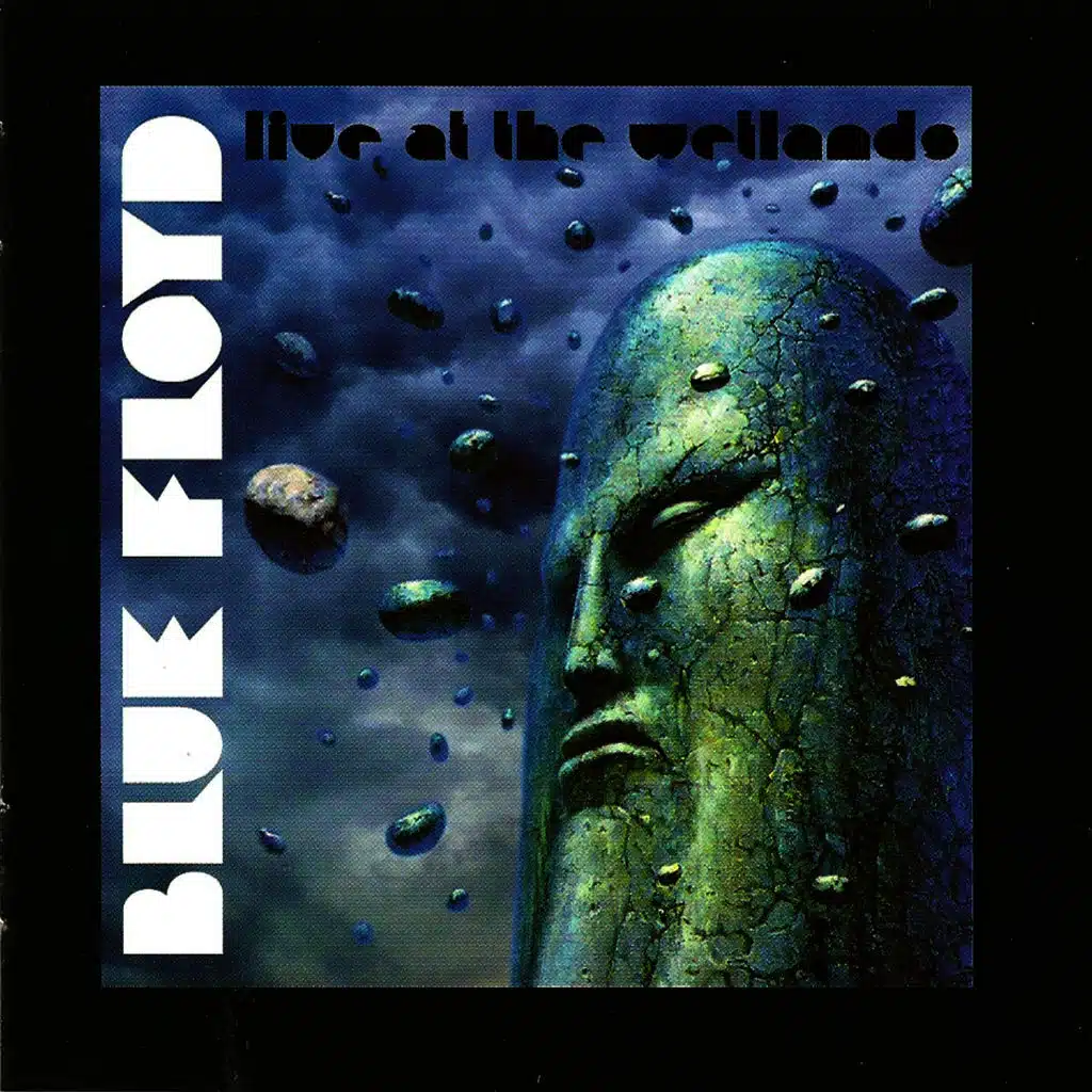 Live At The Wetlands