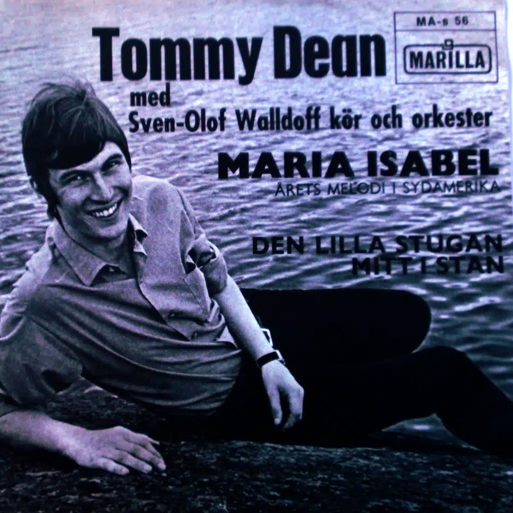 Den lilla stugan mitt i stan