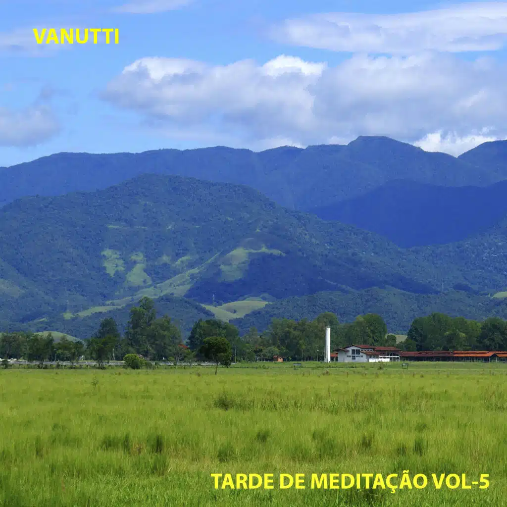 Tarde de Meditação, Vol. 5