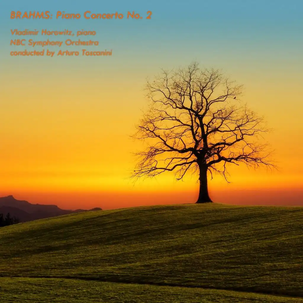 Piano Concerto No. 2 in B-Flat Major, Op. 83: II. Allegro Appassionato