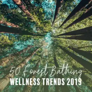 50 Forest Bathing