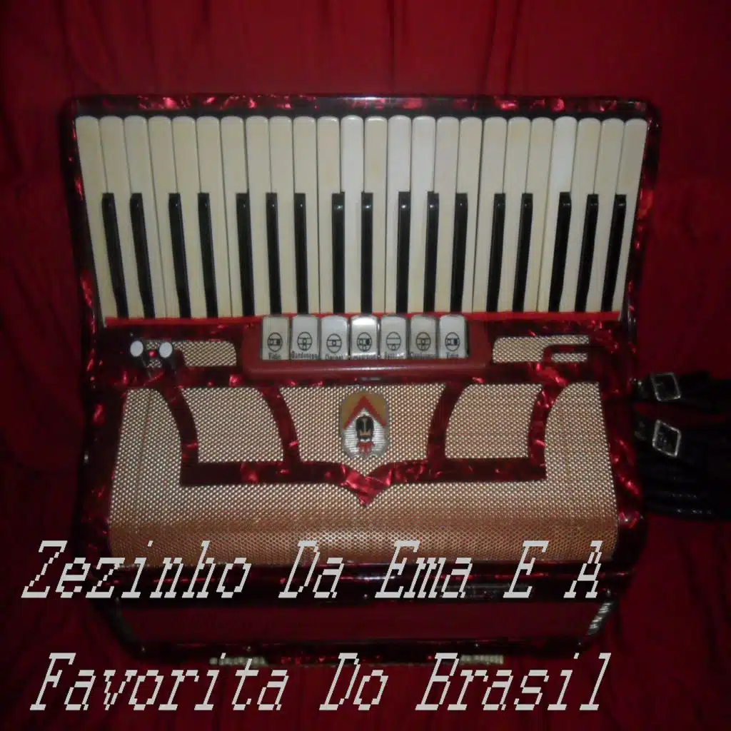 Não Quero Falar Com Ela /tum Tum de Saudade