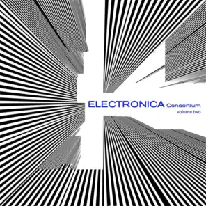 The Electronica Consortium, Vol. 2