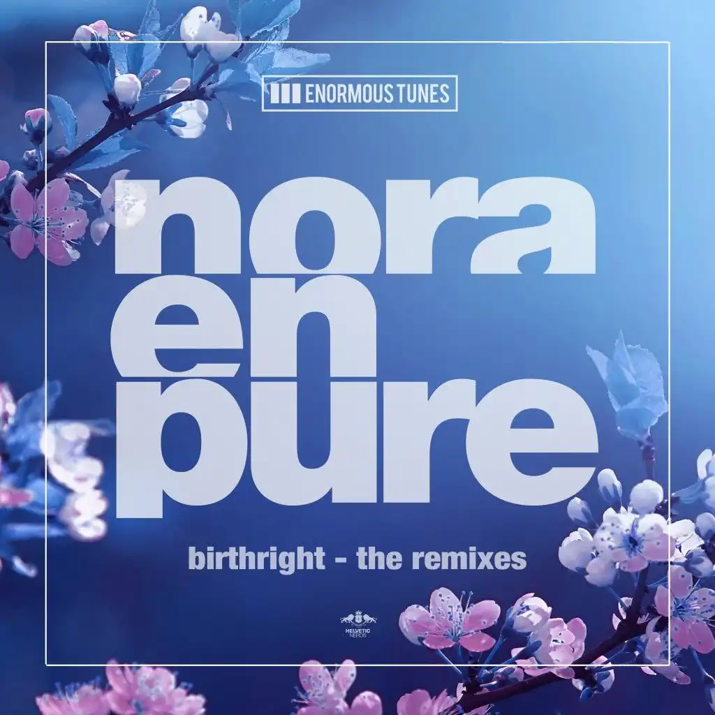 Birthright (Danijel Kostic Remix)