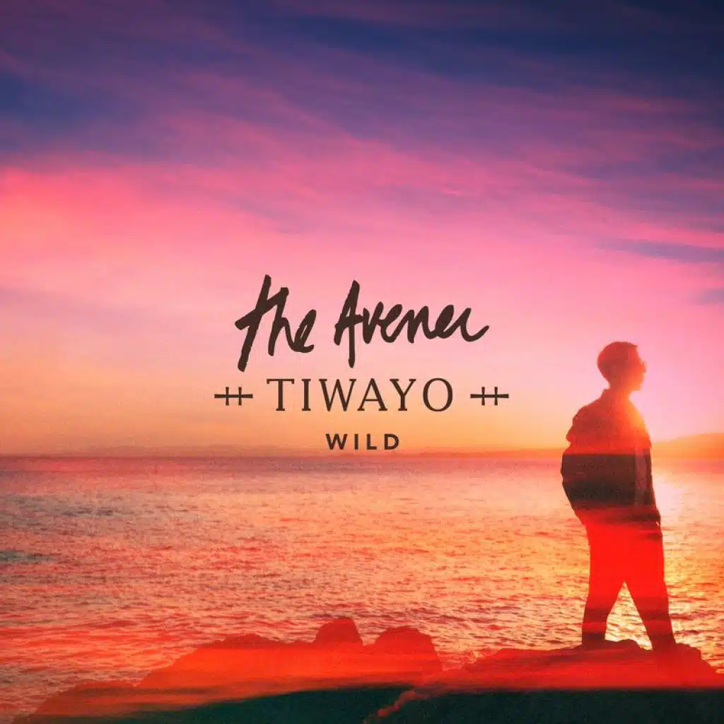 Wild (The Avener Rework)