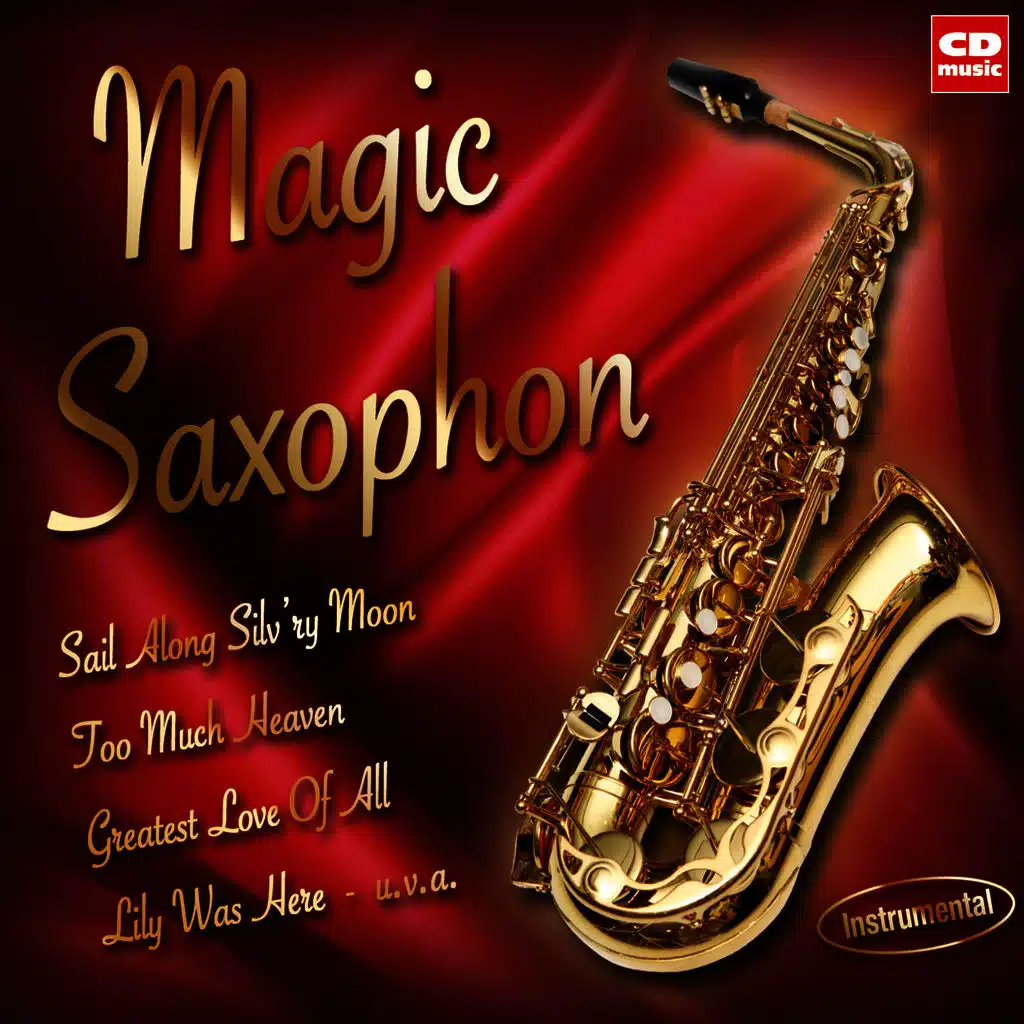 Lily Was Here (Instrumental Tribute)