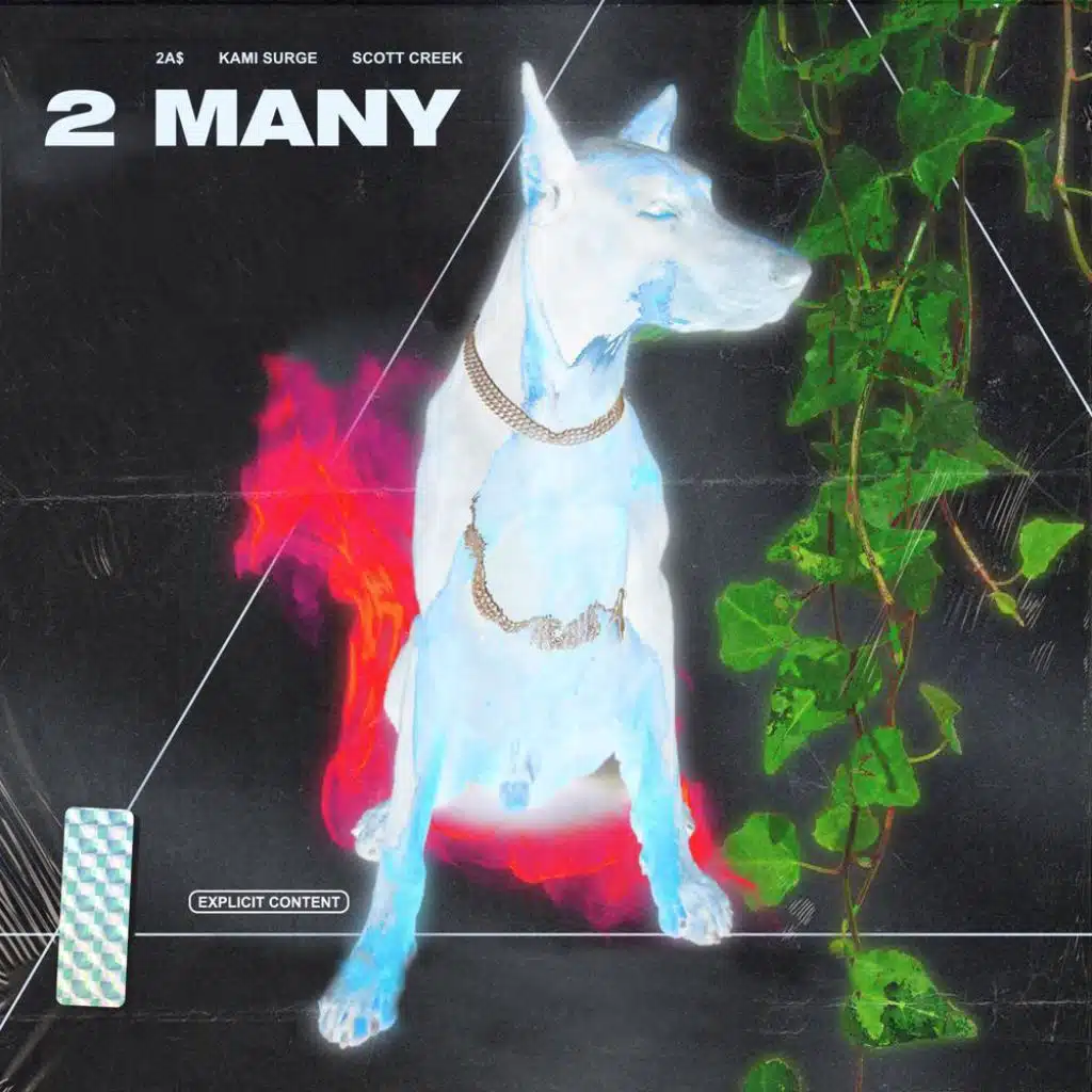 2 Many (feat. Kami Surge & 2A$)