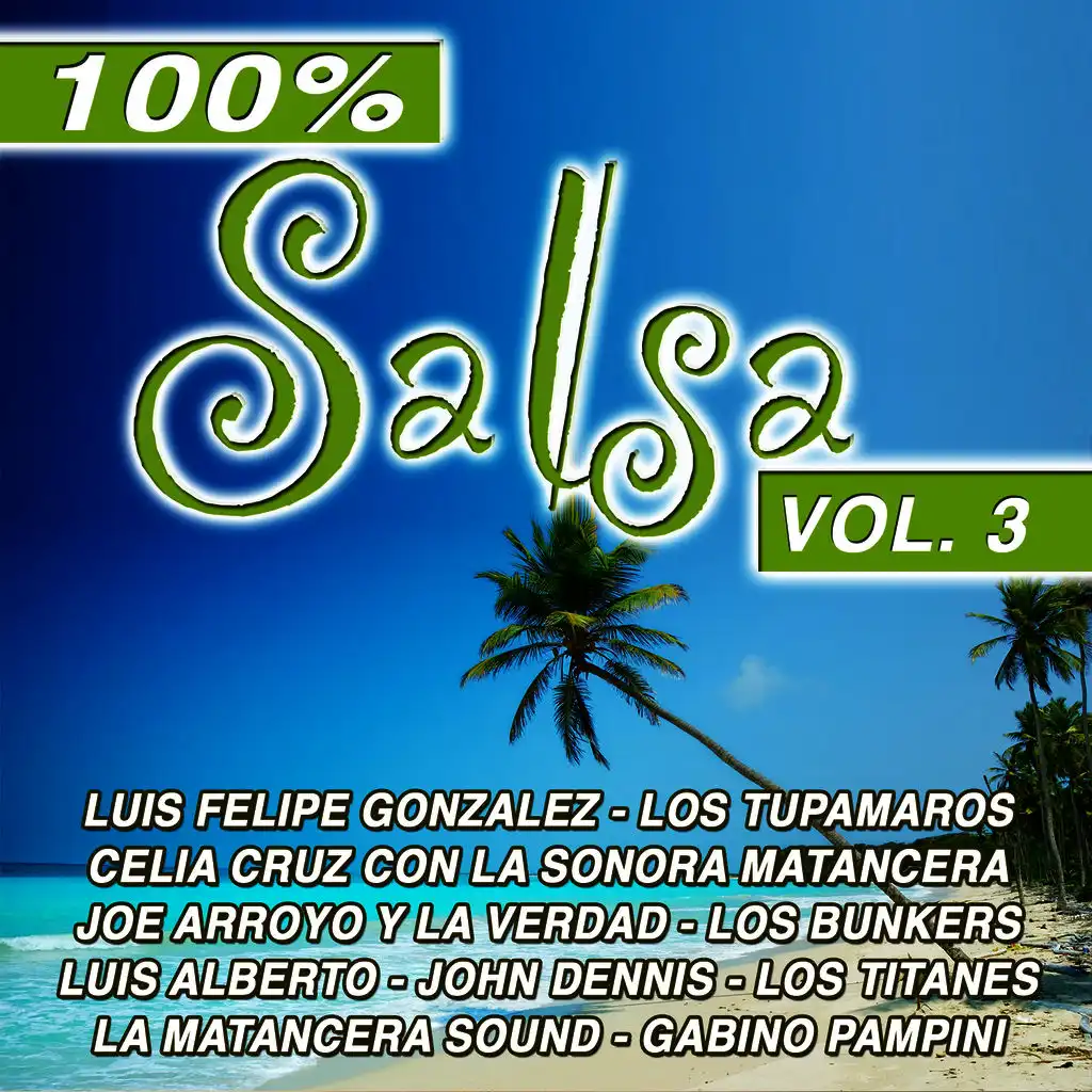 100 % Salsa Vol. 3