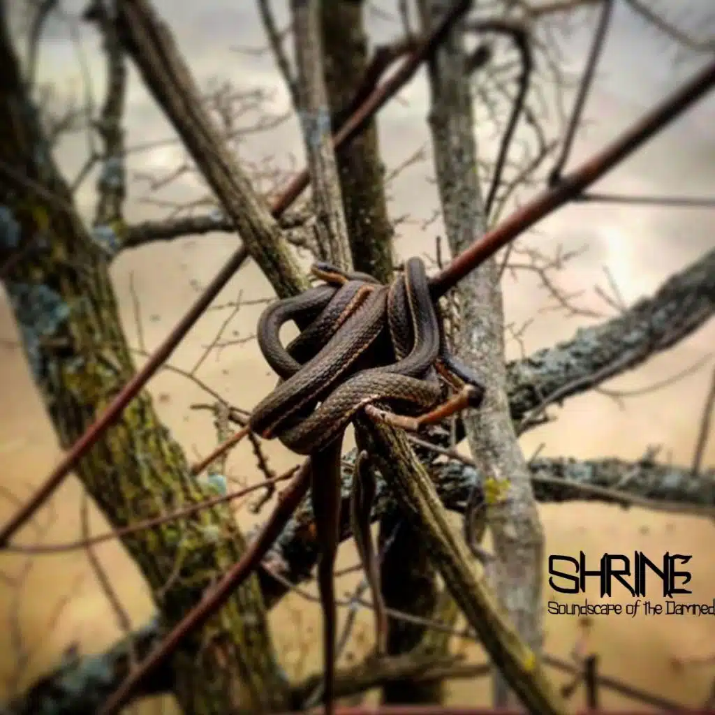 Soundscape of the Damned