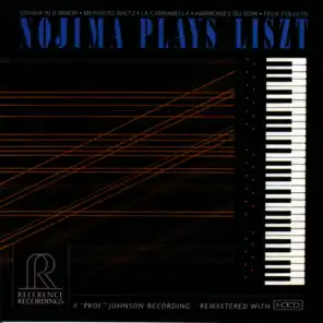 Nojima Plays Liszt