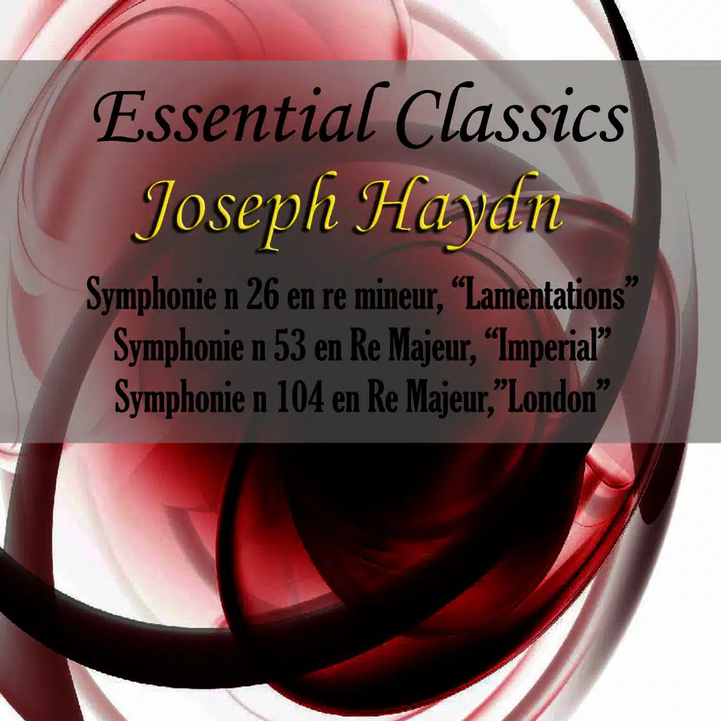 Symphonie No. 26 "Lamentations": Allegro Assai Con Spirito