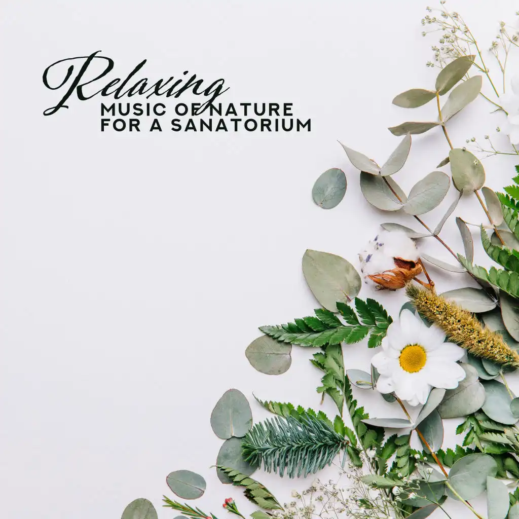 Relaxing Music of Nature for a Sanatorium – Compilation of 2019 Best Nature Music with Piano Melodies for Sanatorium, Perfect Background Sounds for Relaxation Treatments, Massages that Treat Pain, Jacuzzi Bath, Afternoon Nap