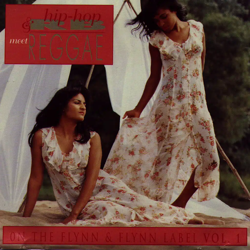 Hip-Hop & R&B Meet Reggae on the Flynn & Flynn Label, Vol. 1