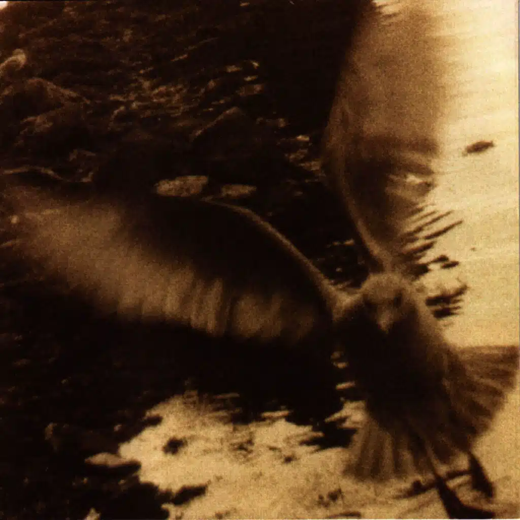 Take Me Home: A Tribute To John Denver