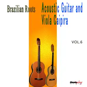Acoustic Guitar e Viola, Vol.6
