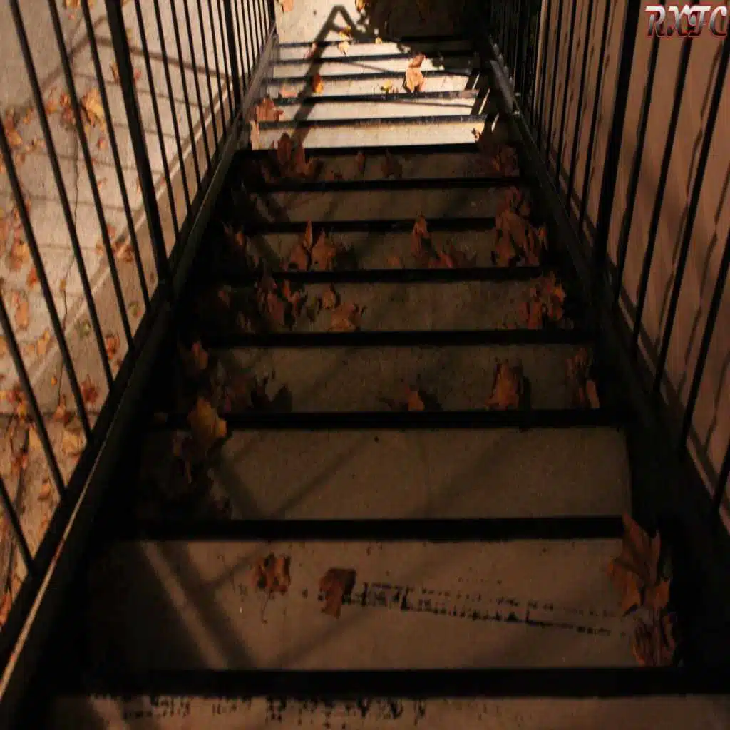 Respect X Fake Checks