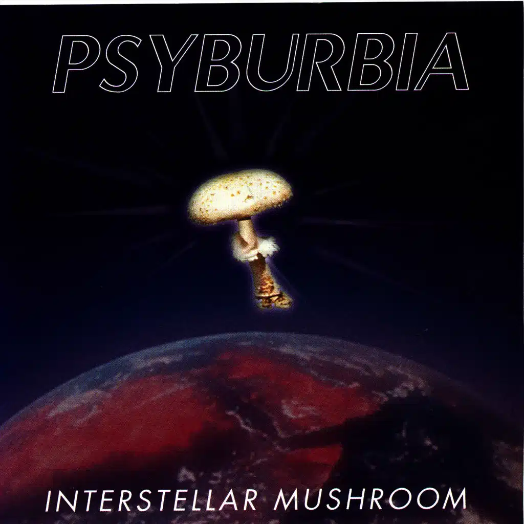 Interstellar Mushroom