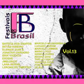 Festivais do Brasil, Vol. 13