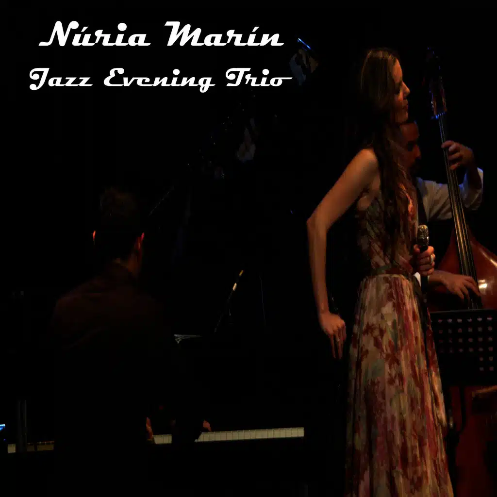Jazz Evening Trio