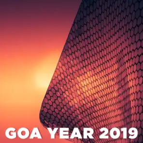 Goa Year 2019
