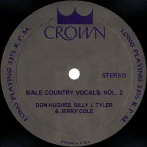 Male Country Vocals, Vol. 2