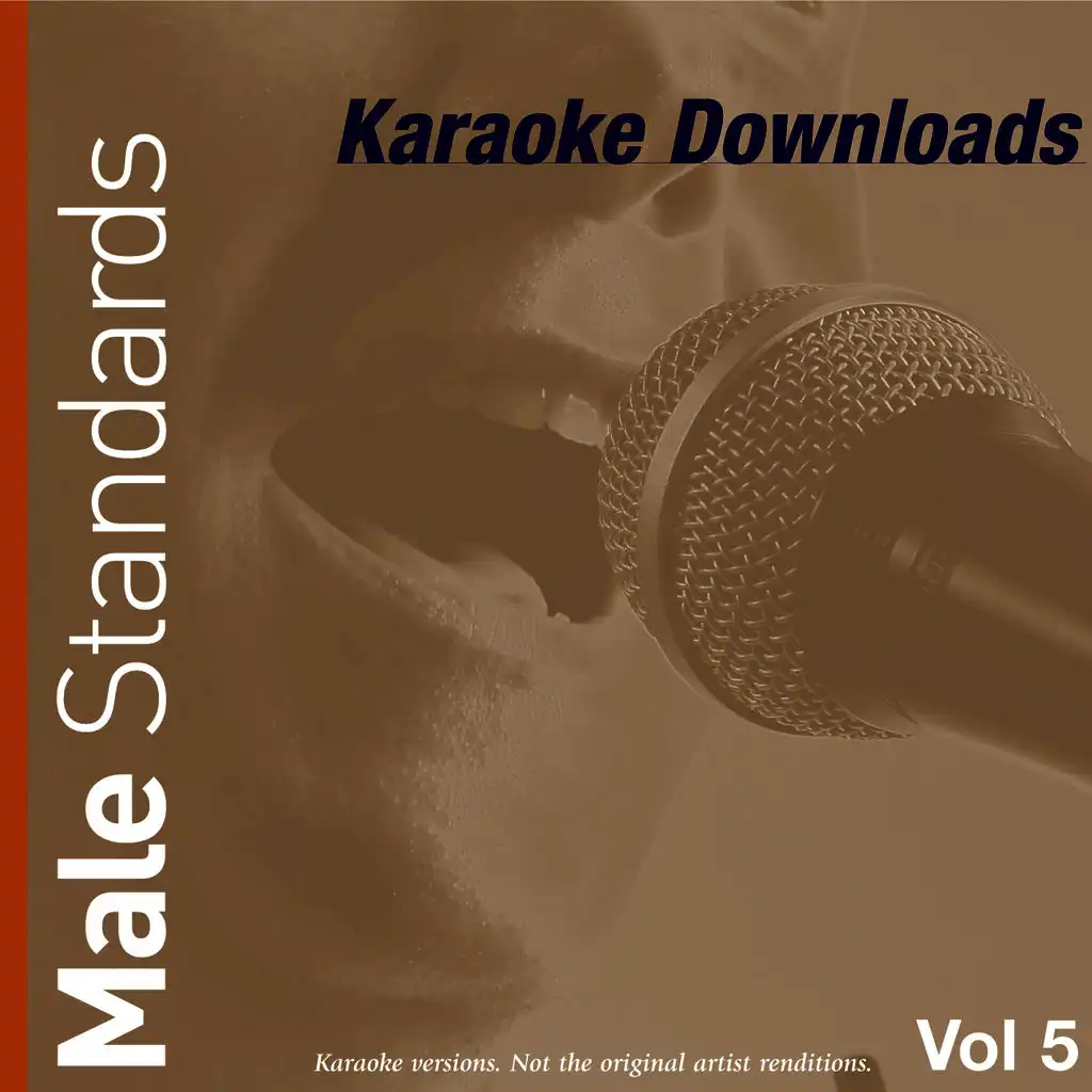 Karaoke Downloads - Male Standards Vol.5
